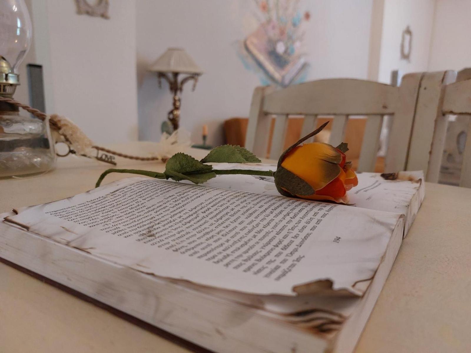 Antique Apartment Afytos Ngoại thất bức ảnh